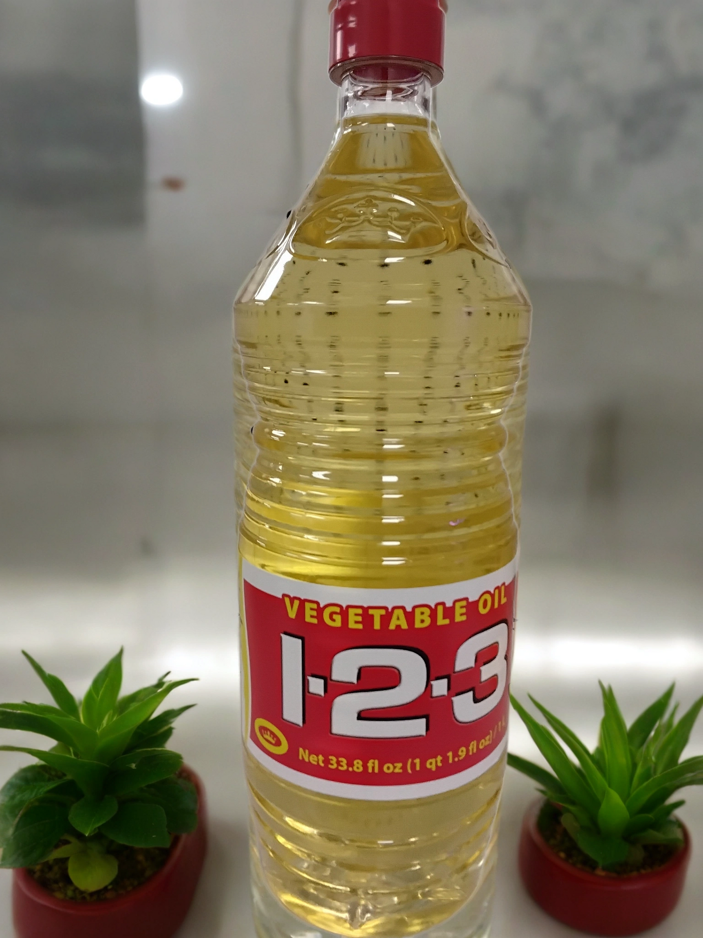 A clear plastic bottle of TOJ EXPRESS 123Vegetable Cooking Oil with a red and yellow label stands upright between two small potted green succulents on a reflective surface.