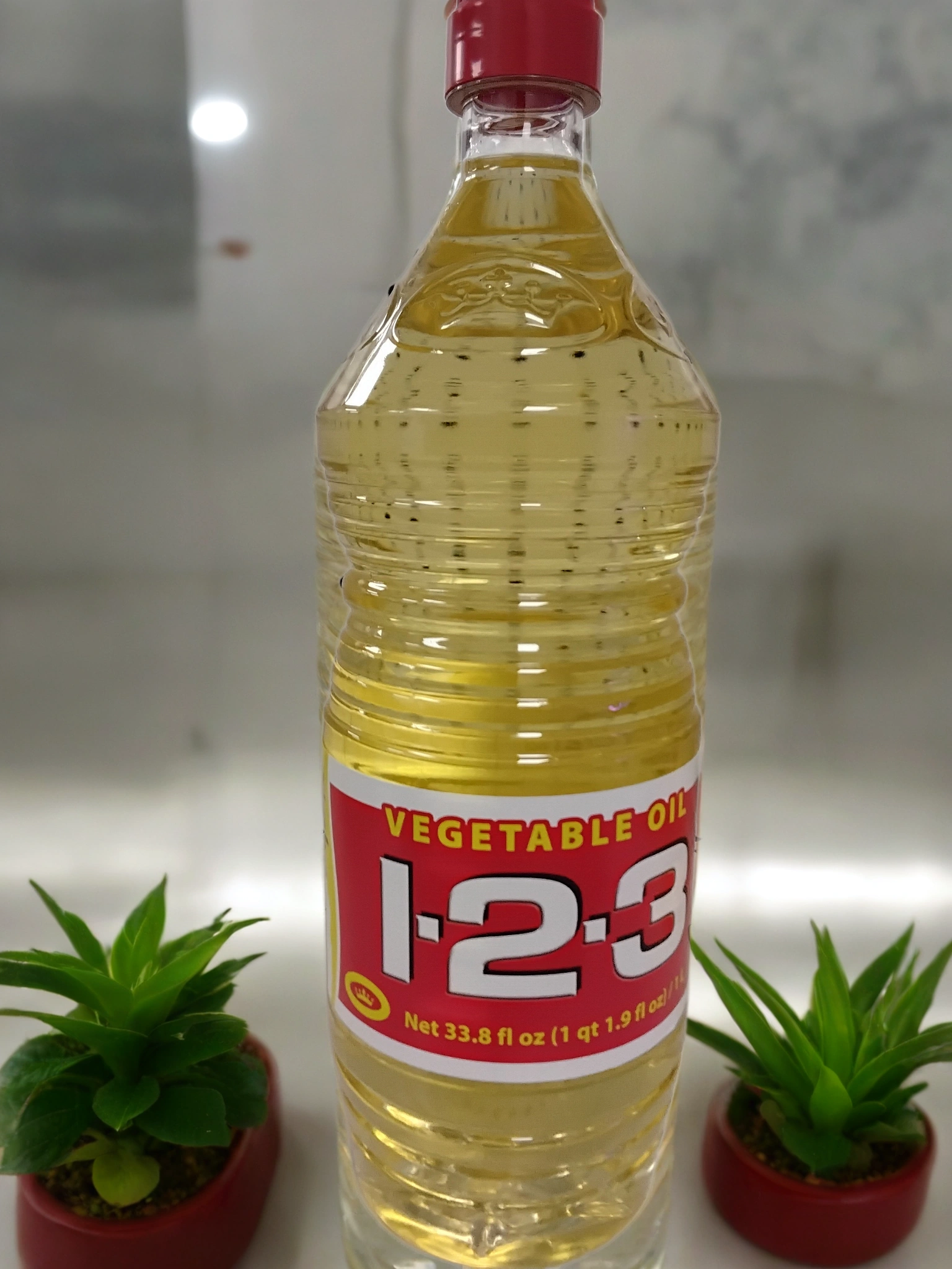 A clear plastic bottle of TOJ EXPRESS 123Vegetable Cooking Oil with a red and yellow label stands upright between two small potted green succulents on a reflective surface.